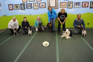 Senior Dog Party Oct 2018