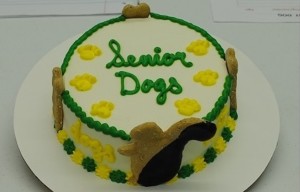 Senior Dogs Cake 2019